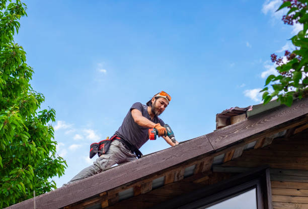 Roof Maintenance in Woodstock, IL